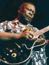 bbkingd.jpg (10311 bytes)